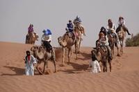 Le meilleur du Maroc, selon Hors Circuit