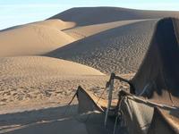 sahara