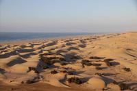 Les dunes de la Plage Blanche avec le Jardin des Epices