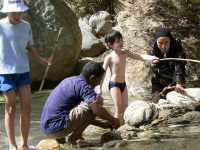 Activ_12 Activ_12