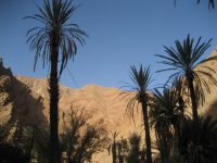 IMG_0523 IMG_0523