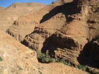 IMG_3566_site IMG_3566_site