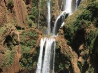 Cascade