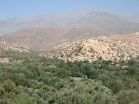 IMG_8583_bis (3) IMG_8583_bis (3)