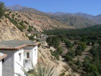 Terrasses_6_site
