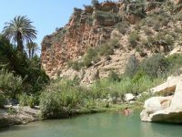 baignade__prox (3) baignade__prox (3)