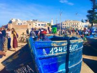 essaouira-2 bateaux
