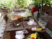 petit déjeuner petit déjeuner