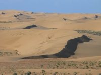 825_site_2_TB (2)