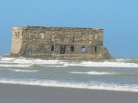 935_site_2 (2)