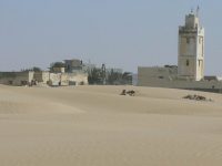 942_site_2